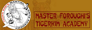 Business Name - Tiger Kim's Tigers