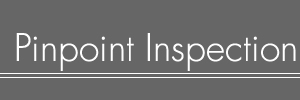 Business Name - Pinpoint Inspection
