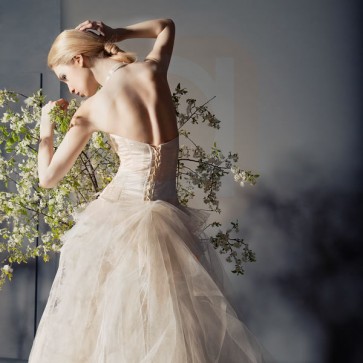 Venus Bridal Collection - Wedding Dresses