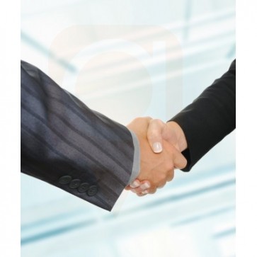 Corporate Structure Agreements