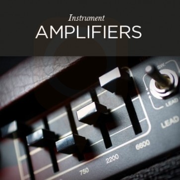 Instrument Amplifiers - Rolan Laney Fishman