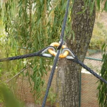 Tree  Cobra Cabling Systems