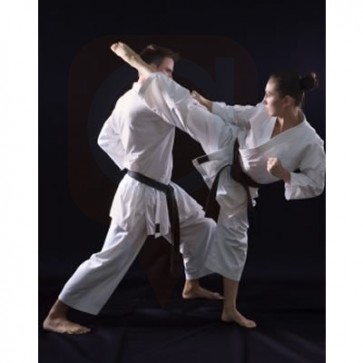 Shaolin Kempo Karate Classes