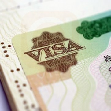 Visa and Immigration Consulting