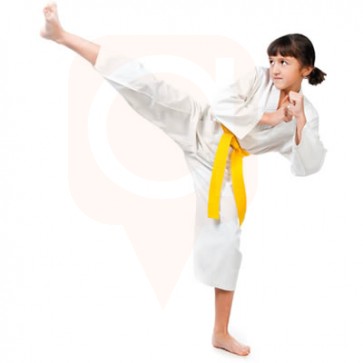 Tiny Tigers - Taekwondo Martial Arts