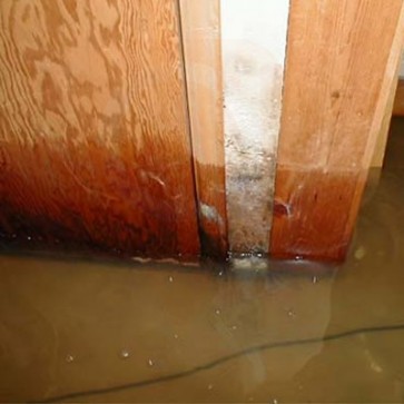 Water Damage Cleaning