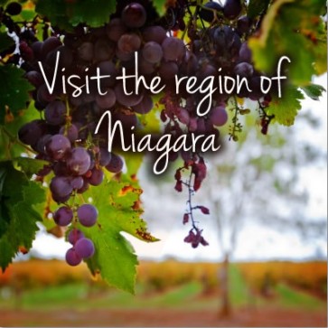 Niagara Wine Tasting Tours