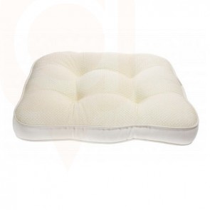 Chip Foam Pillows