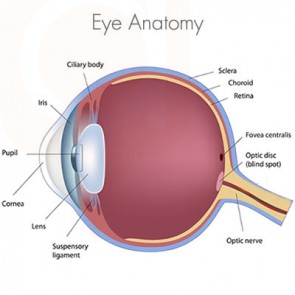 AMARIS Custom LASIK - Eye Laser Procedure
