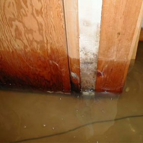 Water Damage Cleaning