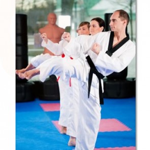 Adult Martial Arts Classes